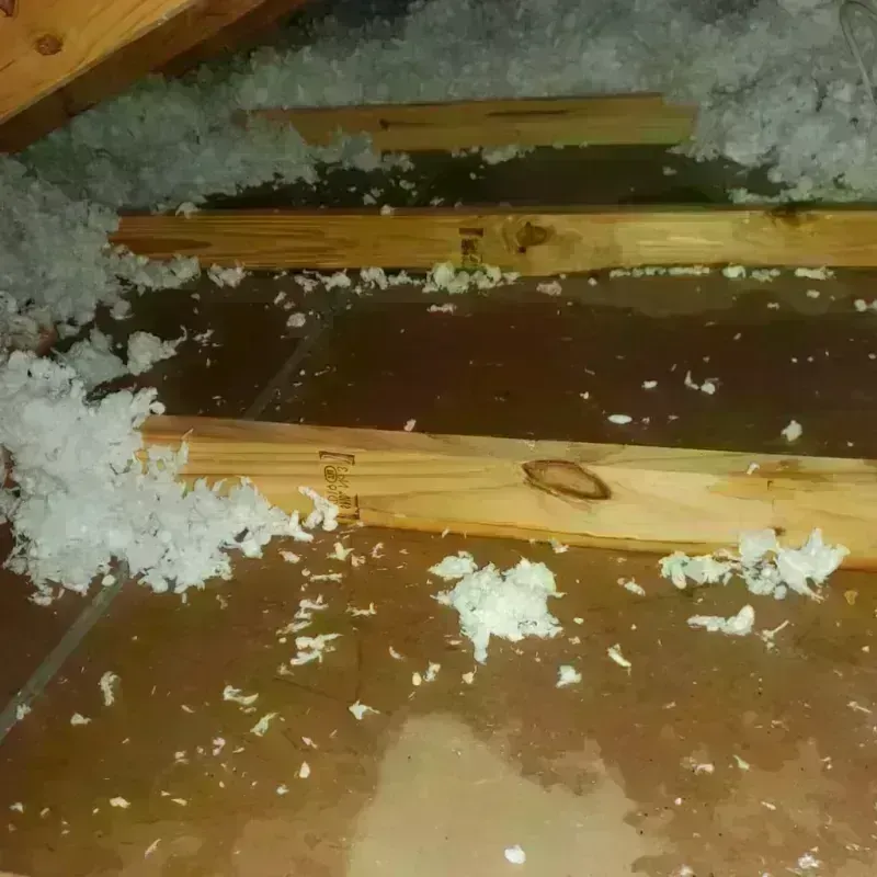 Attic Water Damage in Oxford, OH