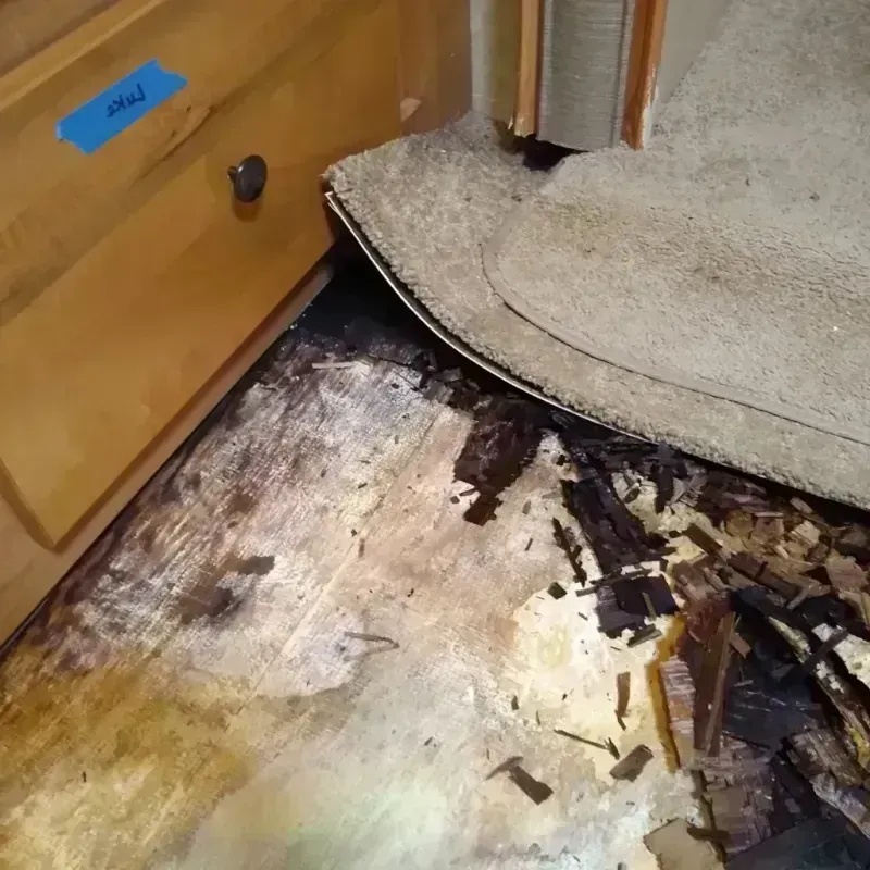 Wood Floor Water Damage in Oxford, OH